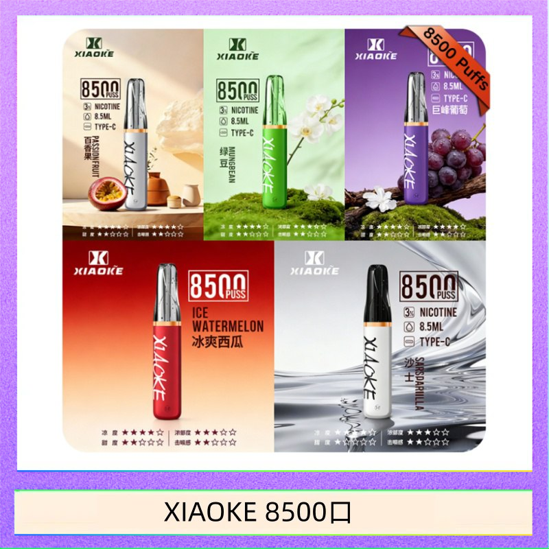 梟客XIAOKE一次性電子菸拋棄式8500口